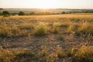 Zemljište u Murskom Središću ide u zakup