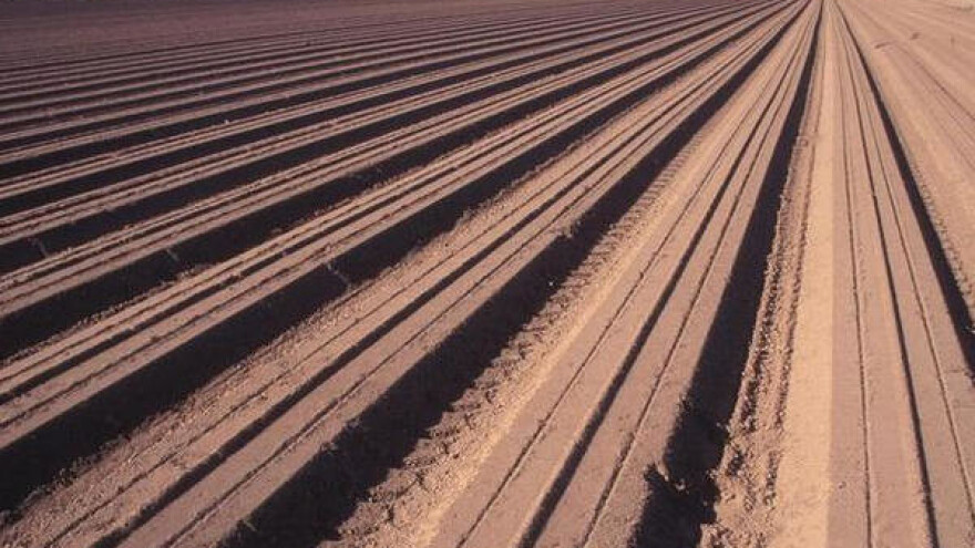 Šansa za organsku proizvodnju