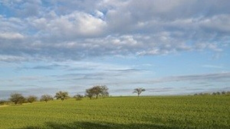 Veliko zanimanje za poljoprivredno zemljište