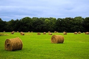 Novi natječaji za državnu zemlju