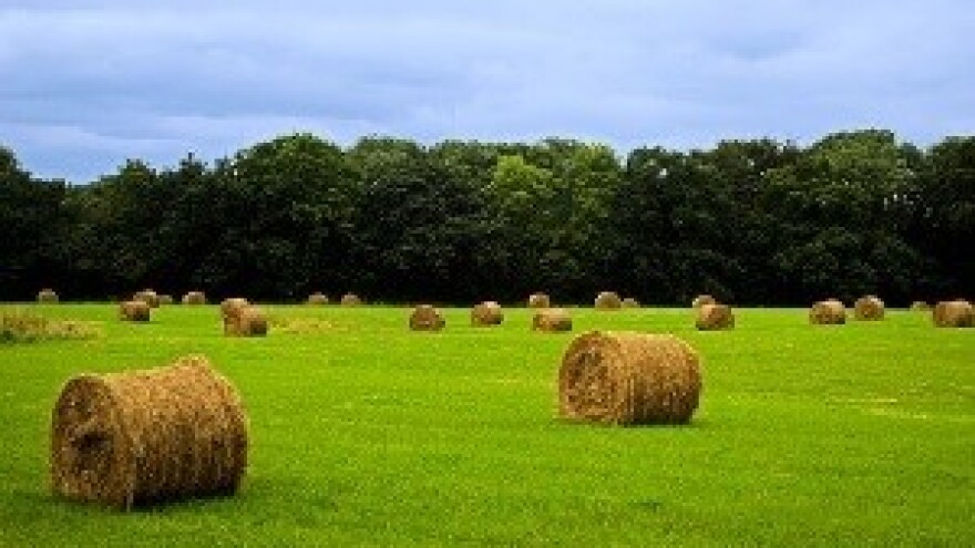 Novi natječaji za državnu zemlju