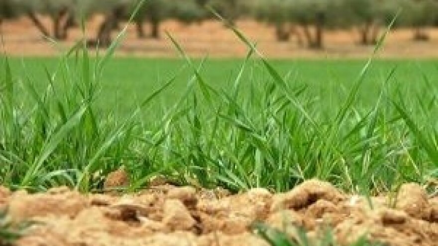 Novi natječaji za poljoprivredno zemljište