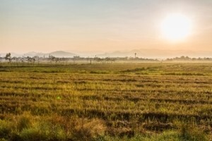 Javni poziv za zakup na području Grada Osijeka