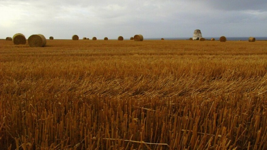 Poništenje odluka o zakupu