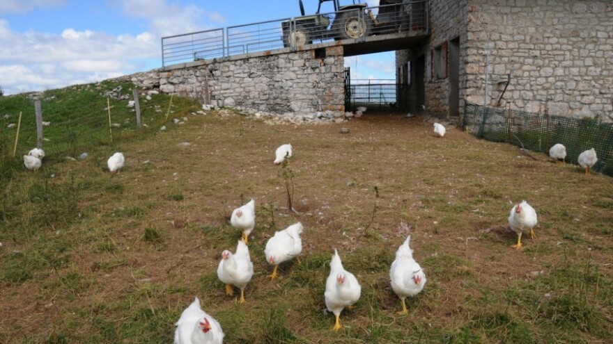 Mađarska štiti zemljište od stranaca!