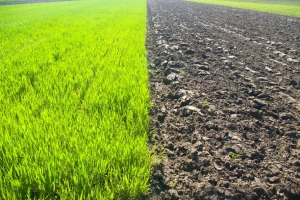 Sustav zemljišnih poticaja je jedna velika rupa
