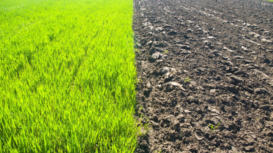 Sustav zemljišnih poticaja je jedna velika rupa