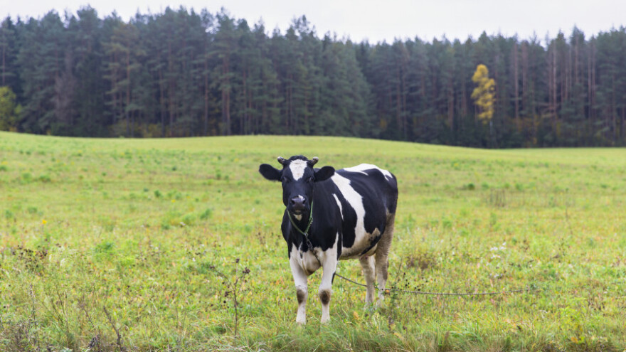 Jedni za, drugi oštro protiv Zakona o poljoprivrednom zemljištu