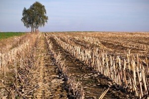 Hrvatska ima veliki "bio" potencijal