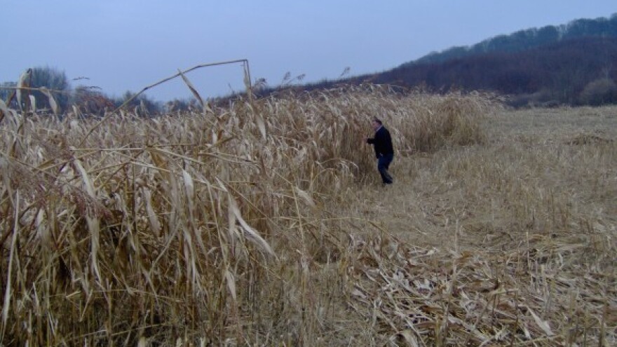 Prodaja državnog zemljišta u općini Majur