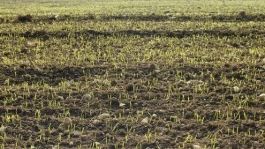 Zakupcima domicilnost neće biti važna