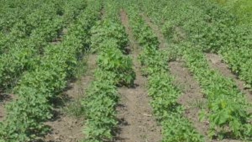 Više obradive zemlje značiti će manji poticaj