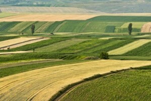 Leko i Jakovina sa županima o poljoprivrednom zemljištu
