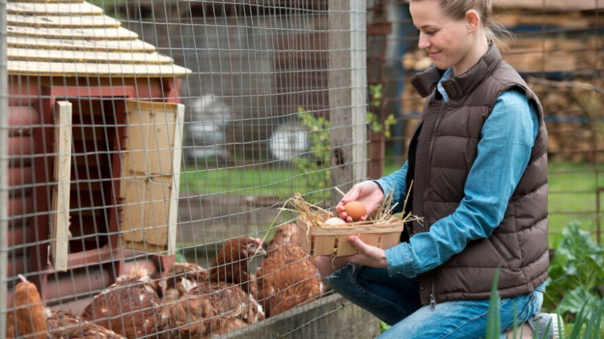 Poljoprivredu učiniti atraktivnom za ostanak mladih!