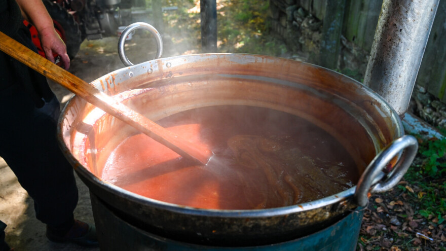 Takmičenje u pripremi pekmeza - ko smije neka se prijavi