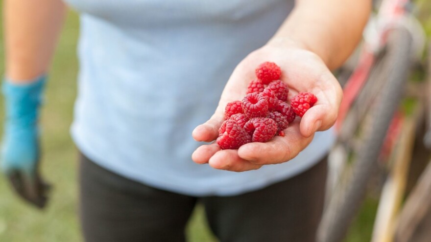 Udružilo se 45 žena Vlasenice i sada rade na vlastitom biznisu!