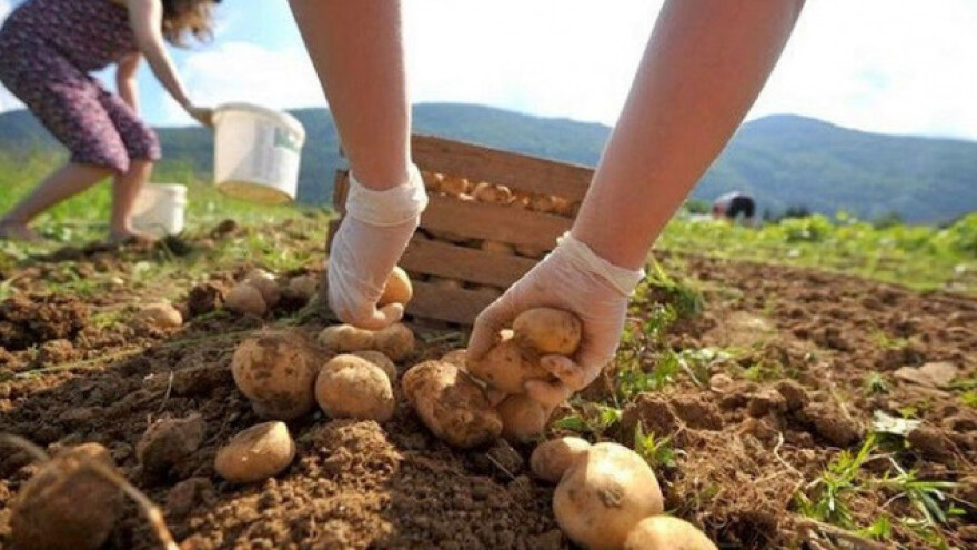 Besplatna obuka o organskoj proizvodnji