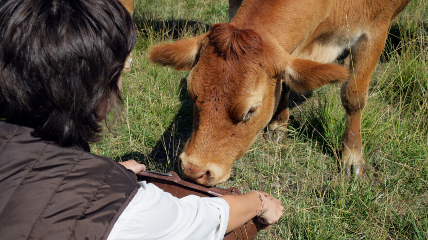 Treba li nam u svakom selu po jedna Milena Plećaš da bismo mijenjali svijest?