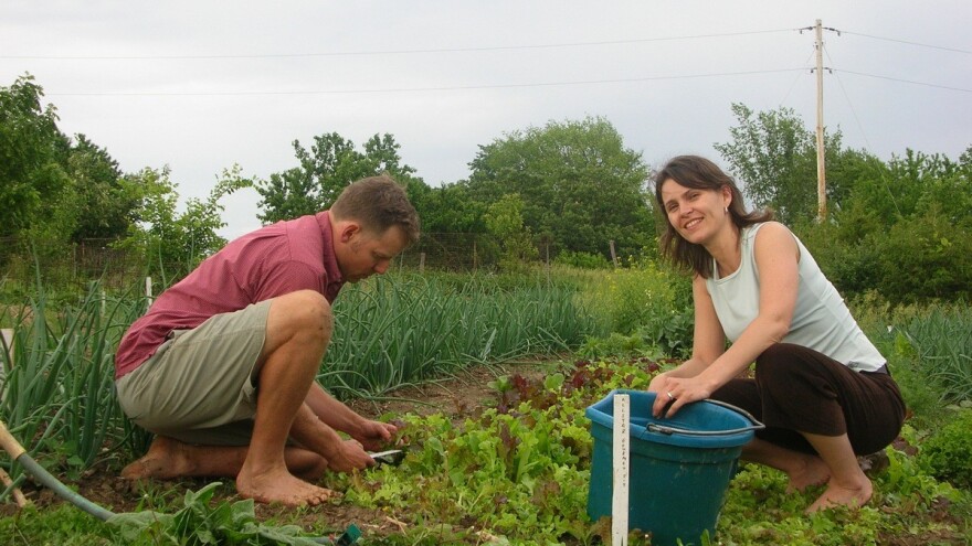 Šest miliona dolara za podršku porodičnim preduzetnicima, posebno ženama i mladima