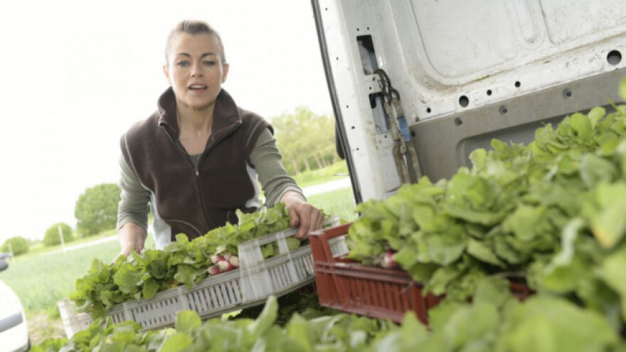 Tek 30% OPG-ova u EU vode žene!
