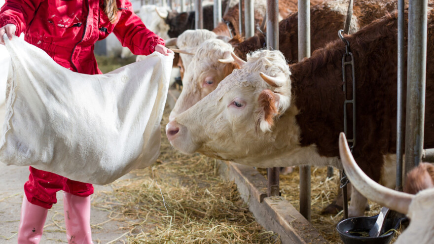 Žene u poljoprivredi jedanko uspješne kao muškarci