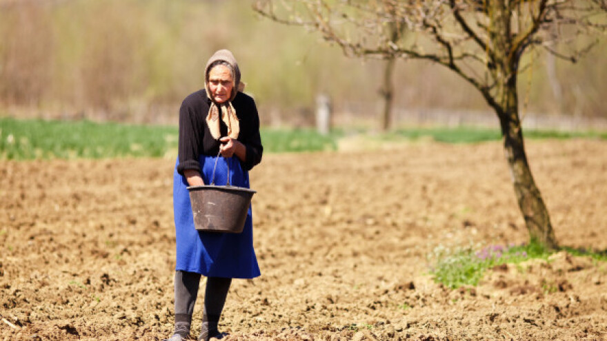 Kakav je položaj žena u poljoprivredi?