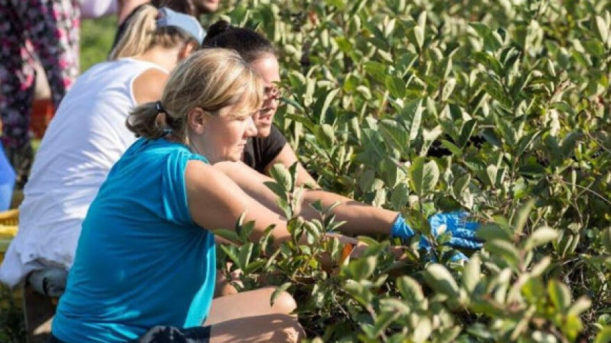 Žena na selu nikad ne ide u mirovinu