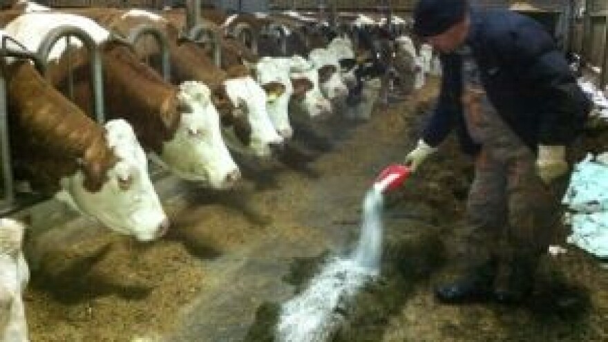 Blokiranje aflatoksina u stočnoj hrani