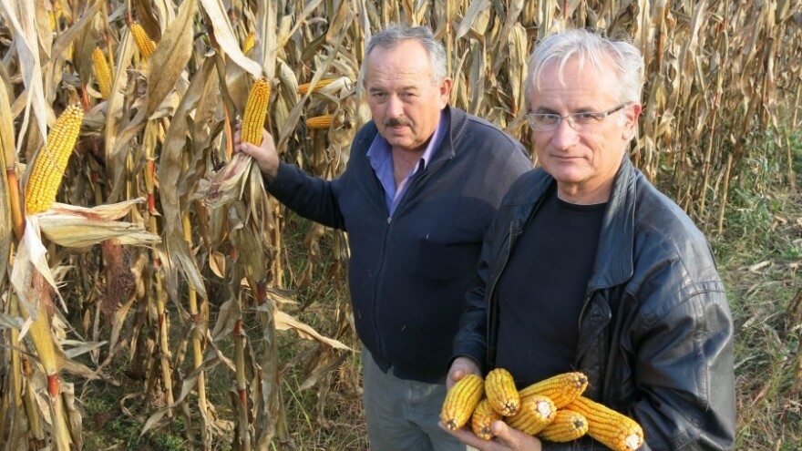 Sa zeolitom bolje napreduju i biljke i životinje