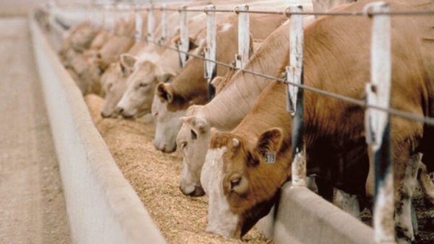 Ohrabriti proizvođače zeolita!