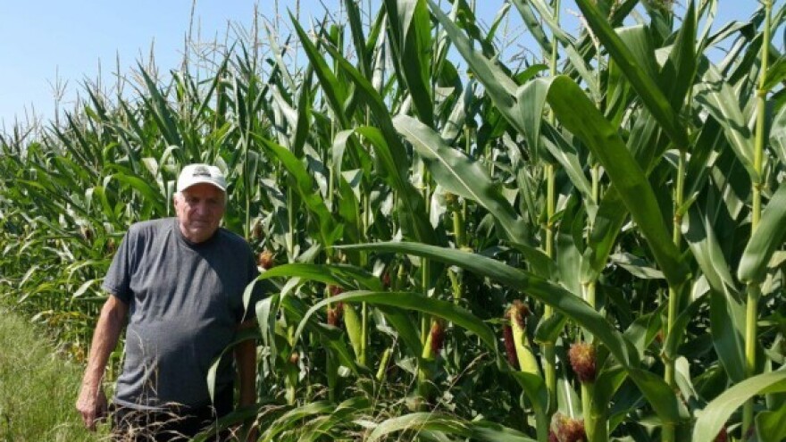 Zeolit uz gnojidbu za veći prinos i uštedu!