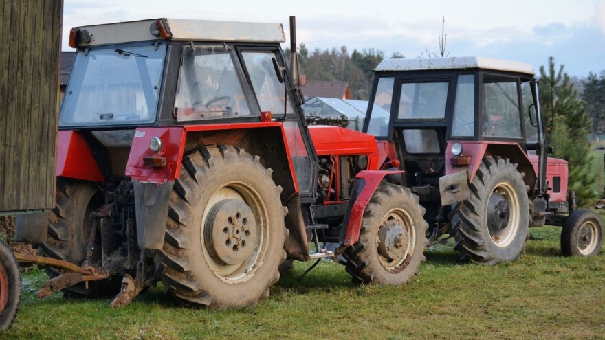 Blizanci Mirko i Marko završili fakultete, no sreću pronašli u ratarstvu i svinjogojstvu