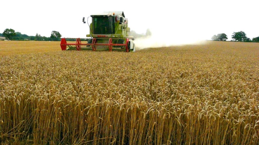 Ruski izvoz pšenice premašio 30 miliona tona, a Turska uvezla deset puta više rumunjskog kukuruza nego lane