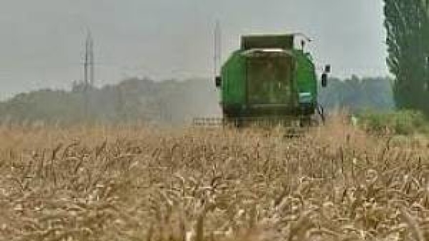 Kakva su ulaganja, takvi su i prinosi