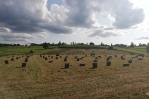 Manje pšenice u Kolubarskom okrugu