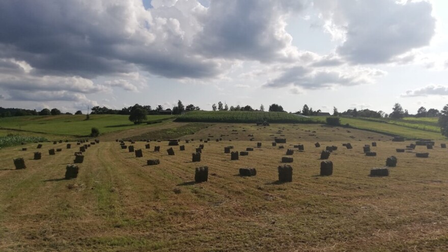 Manje pšenice u Kolubarskom okrugu