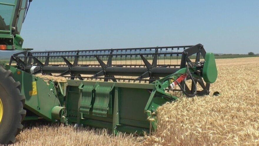 U znaku žetve - šta se sve radi u julu?