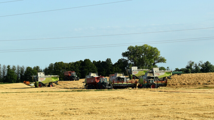 Evropska žetva: Jedni obaraju rekorde, a drugi zbrajaju štete