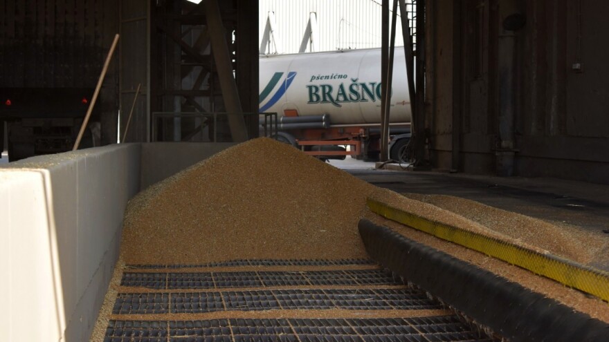 Postignut dogovor: Proizvođačima pšenice u FBiH - 2,5 miliona KM