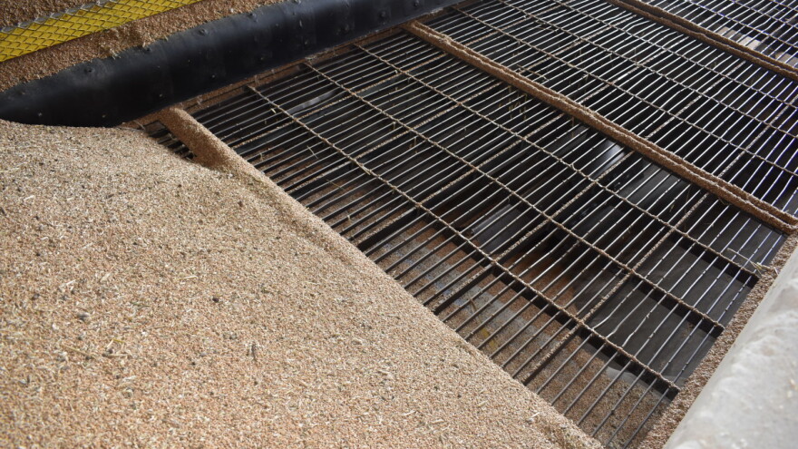 Kad će "porasti" cena pšenice?