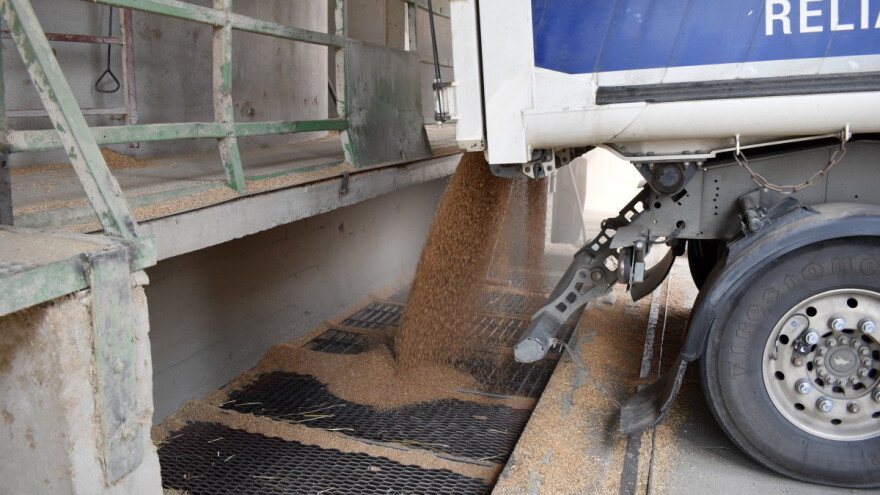 Putovanje zrna hrvatske pšenice