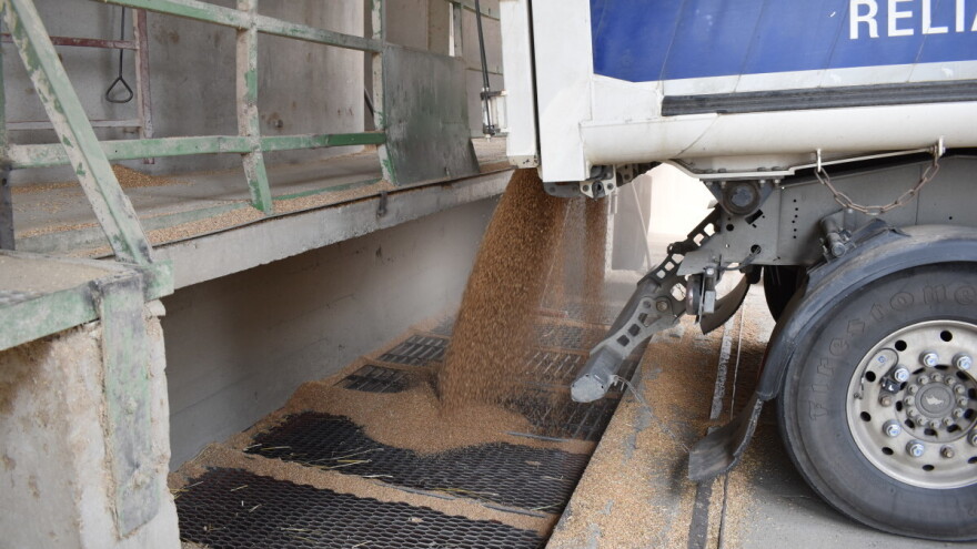 Ratari nezdovoljni ponuđenom cijenom pšenice: "Odjavit ćemo gazdinstva"