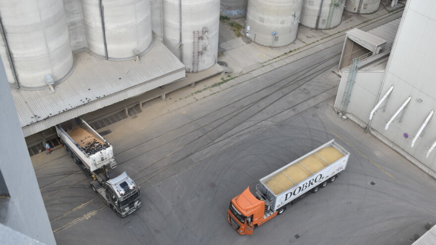 Stopostotno uvećanje premije za pšenicu u Semberiji