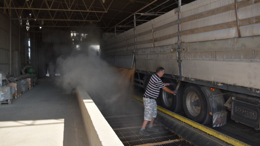 Na pšenici roda 2025 više od polovice ratara će ostvariti gubitak, no ne samo oni