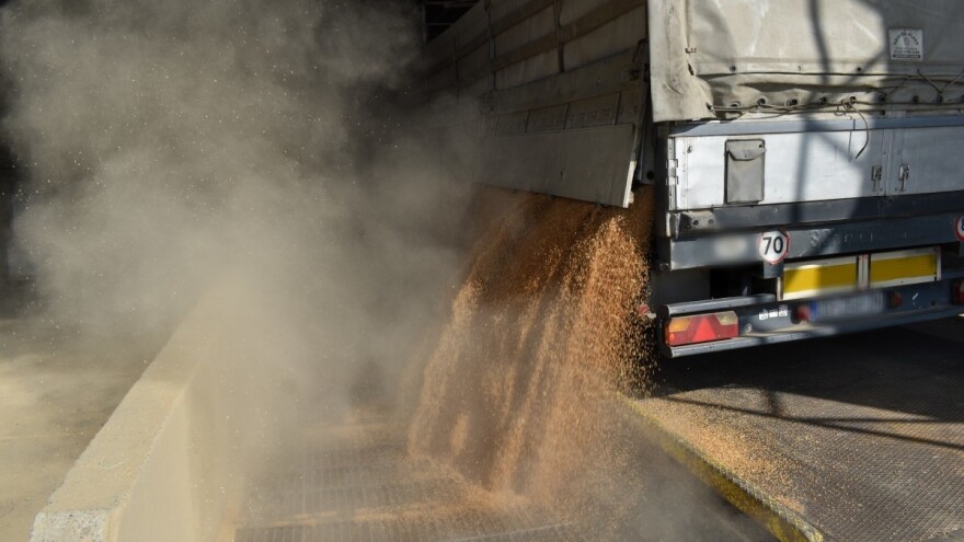Kakvu smo pšenicu proizveli: Šta je pokazala analiza u najvećoj žitnici FBiH?