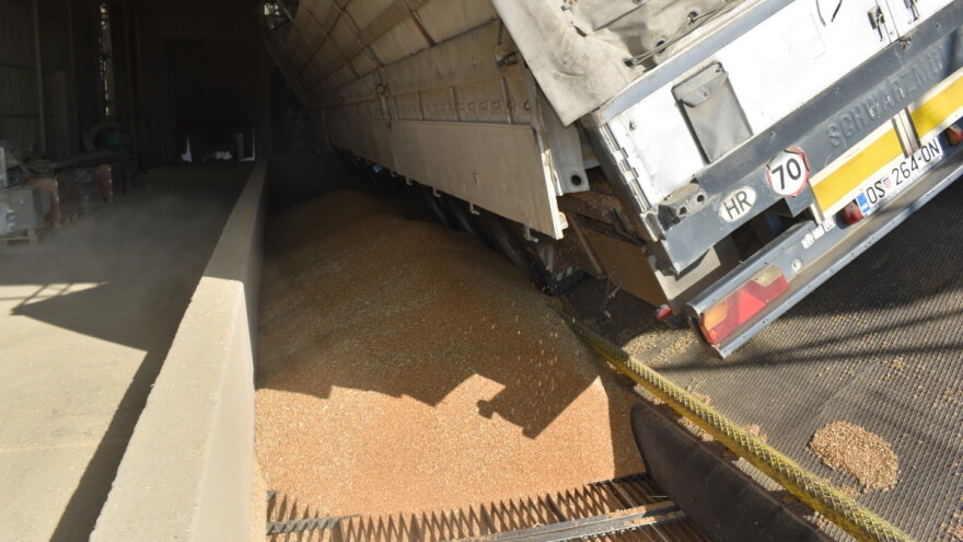 Veća proizvodnja pšenice nego prošle godine, isto se očekuje i od kukuruza