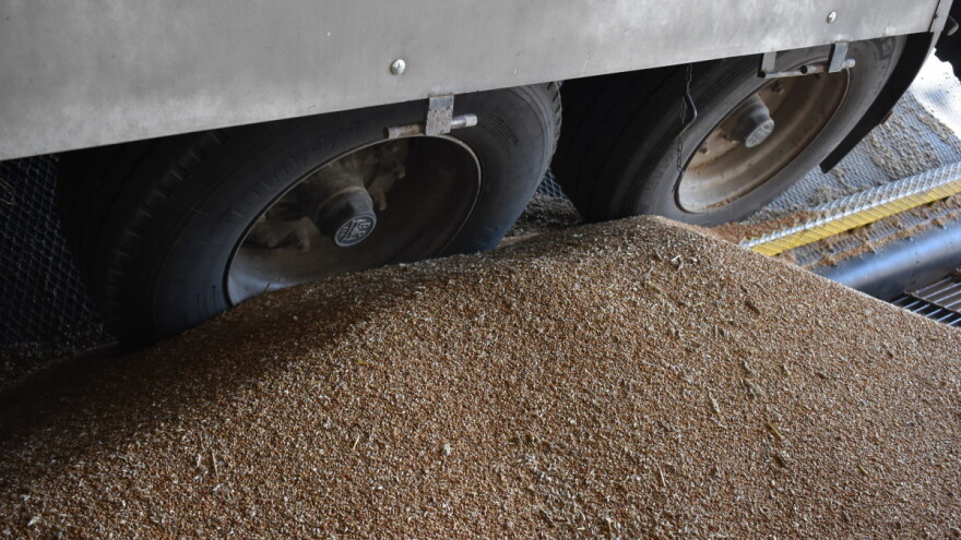 Veća ponuda pšenice na Produktnoj berzi - cena pala