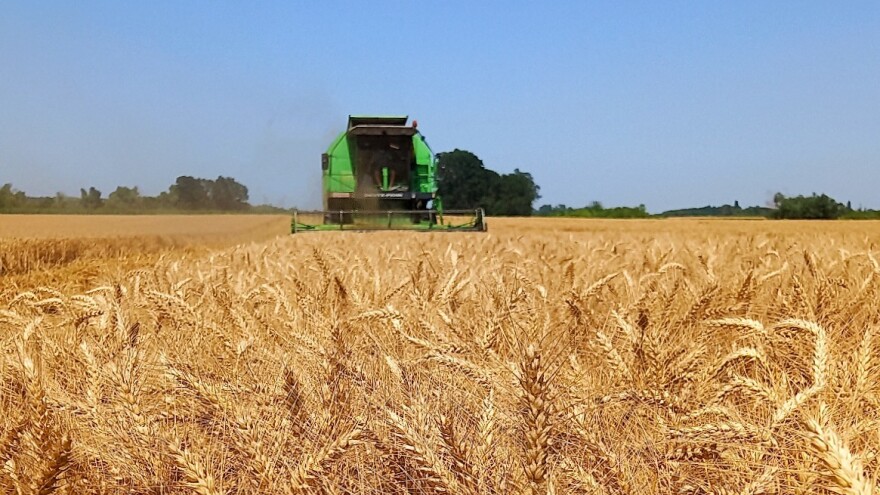 Godina je teška za ratare, ali ako se ne uloži u ovu jesensku sjetvu, iduća će biti još teža
