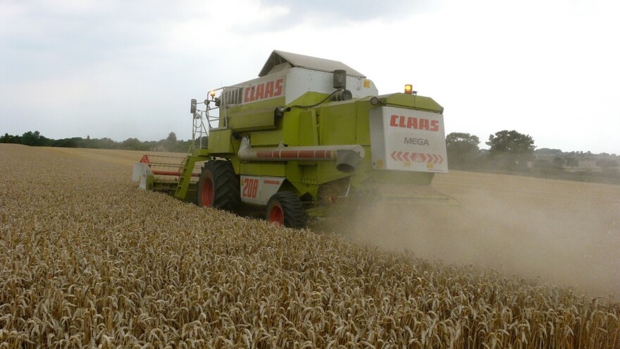 Cene ruske pšenice na trogodišnjem maksimumu