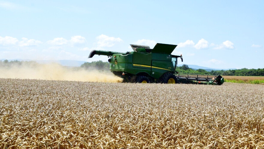 Gde je ovršeno najviše pšenice i spelte?